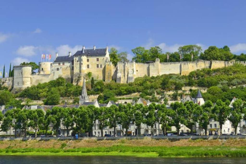La Petite Maison Appartement 2 Avoine 外观 照片